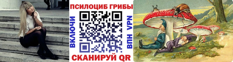 Псилоцибиновые грибы Psilocybe  как найти закладки  Калтан 