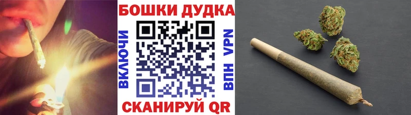 kraken сайт  Калтан  Шишки марихуана сатива  как найти наркотики 